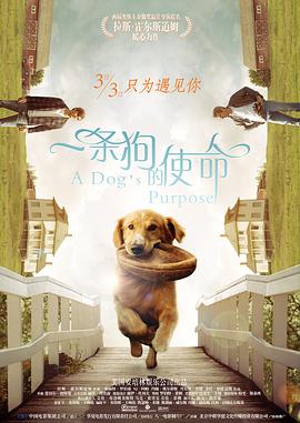 全国消防日是44945吗